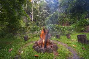 Alaya Stays Panchavadi Farm Stay