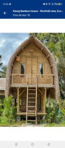 Tree bamboo house