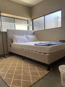 ラッコ ゲストハウス 海獭青旅 Sea Otter Guest House