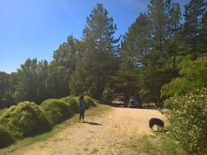 Maisons de vacances Gites et Yourtes l'Aousiere : photos des chambres