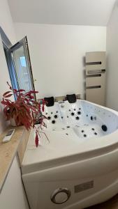 Parenthèse sous les toits - suite cosy avec jacuzzi - hypercentre