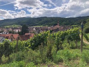 Appartements Appartement Denise - base ideale pour explorer l-Alsace, emplacement privilegie entre vignes et Vosges : photos des chambres