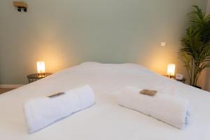 Appartements Appart-Hotel Tournusien : photos des chambres