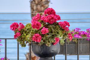 Apartamento Las Flores