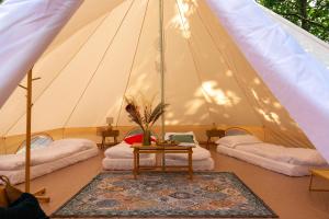 Jaskółkowo Glamping