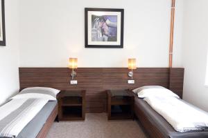 Vila Ruská - Ubytování u Teplic