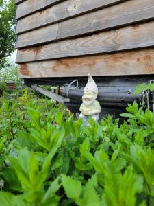 Chalets Tiny House La Chevechette : photos des chambres