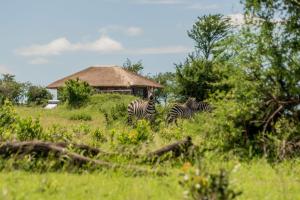 Serengeti Mara River Camp
