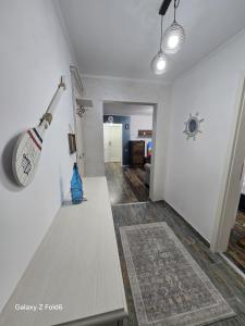 David & Matei Residence