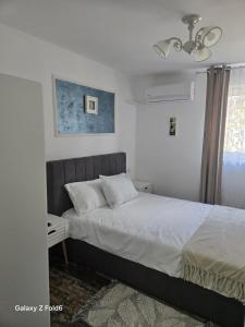 David & Matei Residence