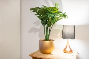 Millennium View by Tŷ SA