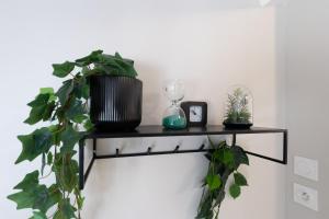 Appartements Appart-Hotel Tournusien : photos des chambres
