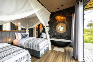 Tarangire Elephant Springs