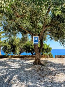 Serenity garden with sea view