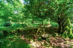 Maisons de vacances Le Trefle a 4 feuilles - Presqu-ile de Crozon : photos des chambres