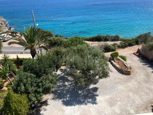 Serenity garden with sea view