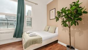 Cosy Paddington Apartments