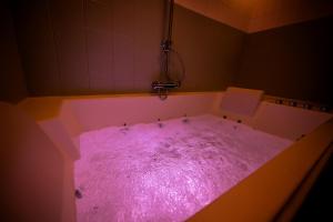 Appartements Balneo & Cine - Jungle Touch - Direct Geneve - Gare Bellegarde : photos des chambres