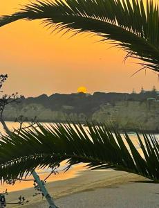 Algarve Coast Sea View