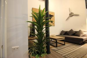 RentalSevilla Alameda