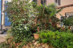 Appartements Charmant appartement T2 au coeur de Narbonne : photos des chambres