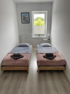 Apartament Zoya