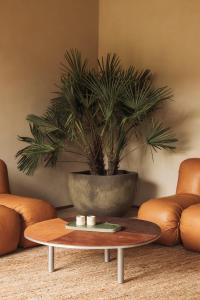 Jonojé Luxury Suites