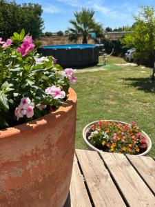 Maisons de vacances Maison de vacances en Camargue : photos des chambres