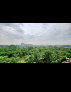 ViHomes - Studio Flat