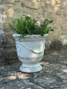 Villas Villa spacieuse avec jardin a Saignon : photos des chambres