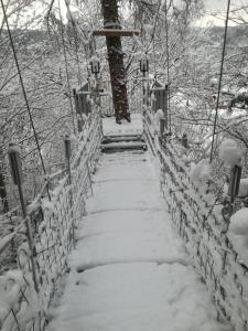 Ferienhaus Wasgaublick