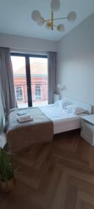 Masuria Apartaments Ełk Centrum