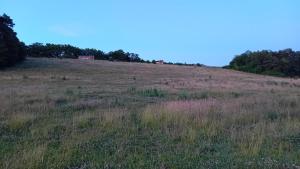 Campings Les tiny houses autonomes du val d-or : photos des chambres