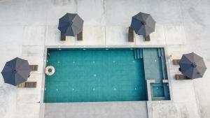 Queen Bee Luxury Villa- Sparto