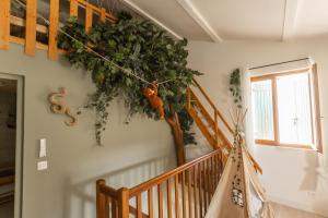 Appartements Triplex Jungle Family : photos des chambres