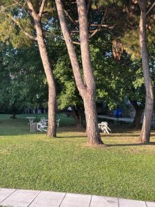 Residence LOliveto Garden and Swimming pool