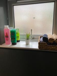 Excellent Central Location Apt 2 R2