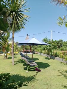 Uma Desa - Surf And Stay Medewi