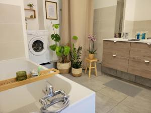Appartements Le Guelef - Appartement 2 personnes : photos des chambres