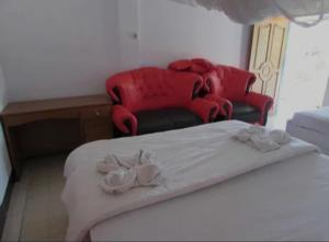 Silvester guest house