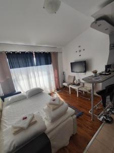 Art studio Marina Cape-private host