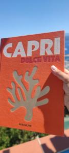 Delizioso appartamento a Capri