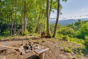Fire Pit and Views Pet-Friendly Spruce Pine Studio