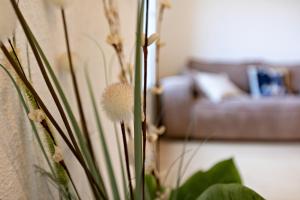 Appartements Downtown chic apartment in Pezenas : photos des chambres