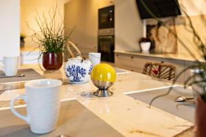 Appartements Downtown chic apartment in Pezenas : photos des chambres