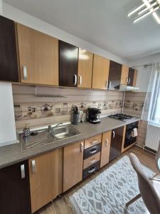 Apartament Stefania Targu Ocna