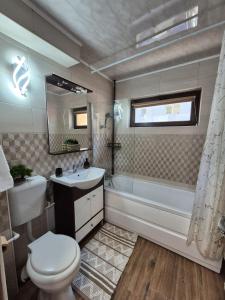 Apartament Stefania Targu Ocna