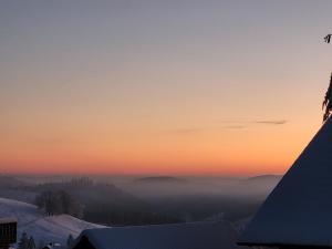 Haus Rehblick 2, Wg 3