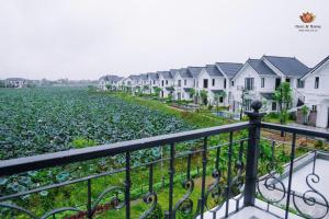 Here & Home Villa Vườn Vua