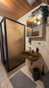 Pension Schmidt - Wipfelblick - Voll ausgestattetes Loft Apartment